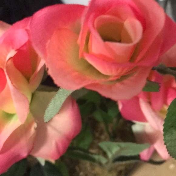 Meet your Posher, Joy - Picture 1 of 1